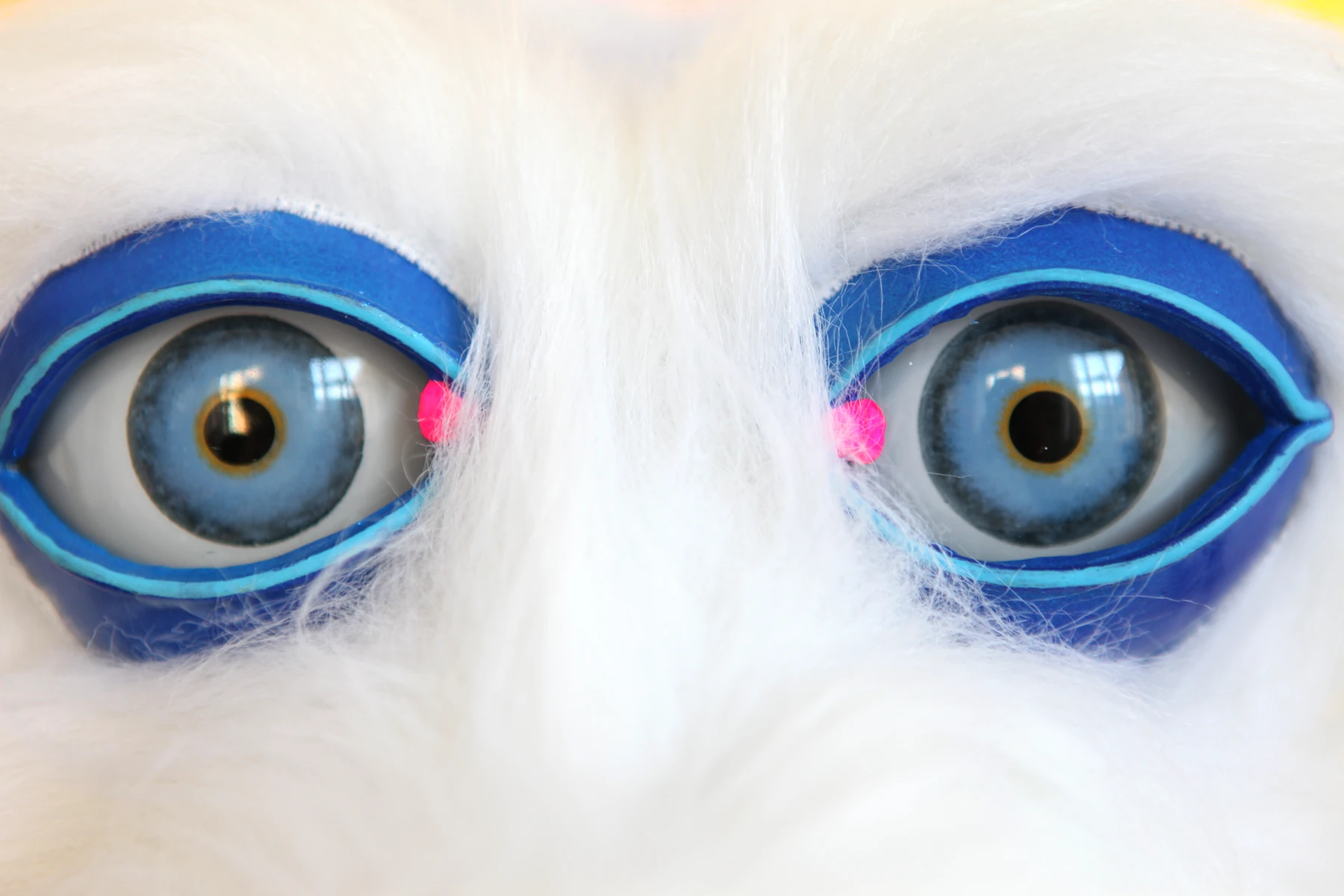 Close up of Kaluk's blue eyes